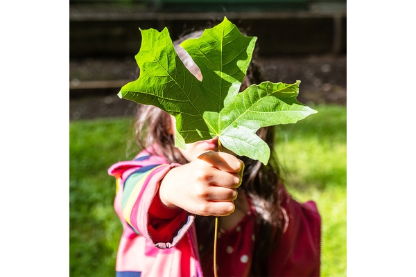 Image Young child holds up leaf.